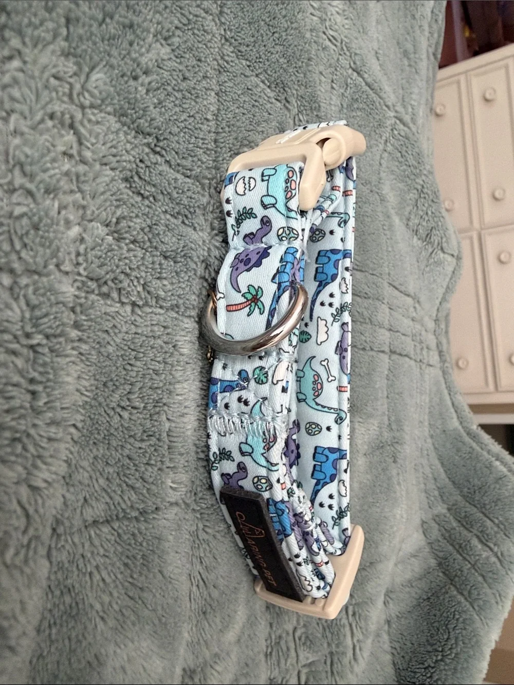 Darling Light Blue Collar with Purple and Blue Accents